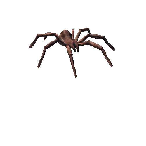 spider fat_02